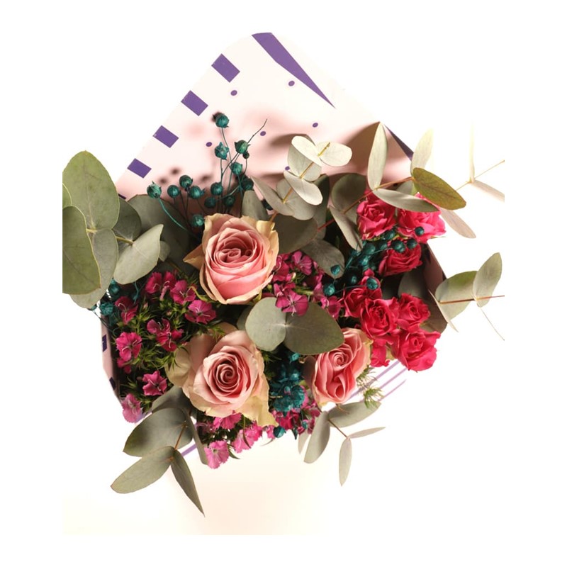 Pink Champagne Roses