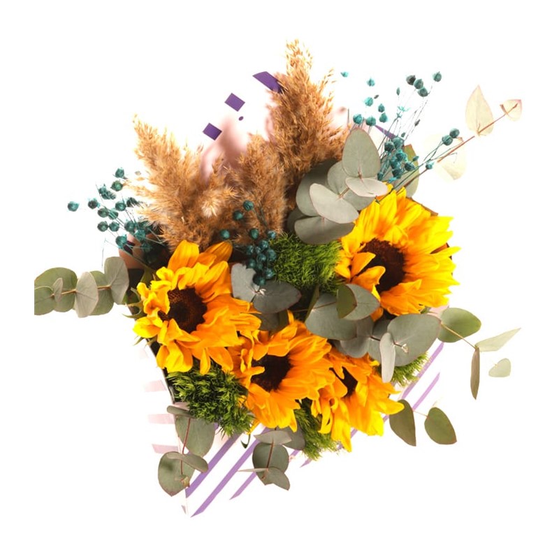Summer & Sunshine Letter