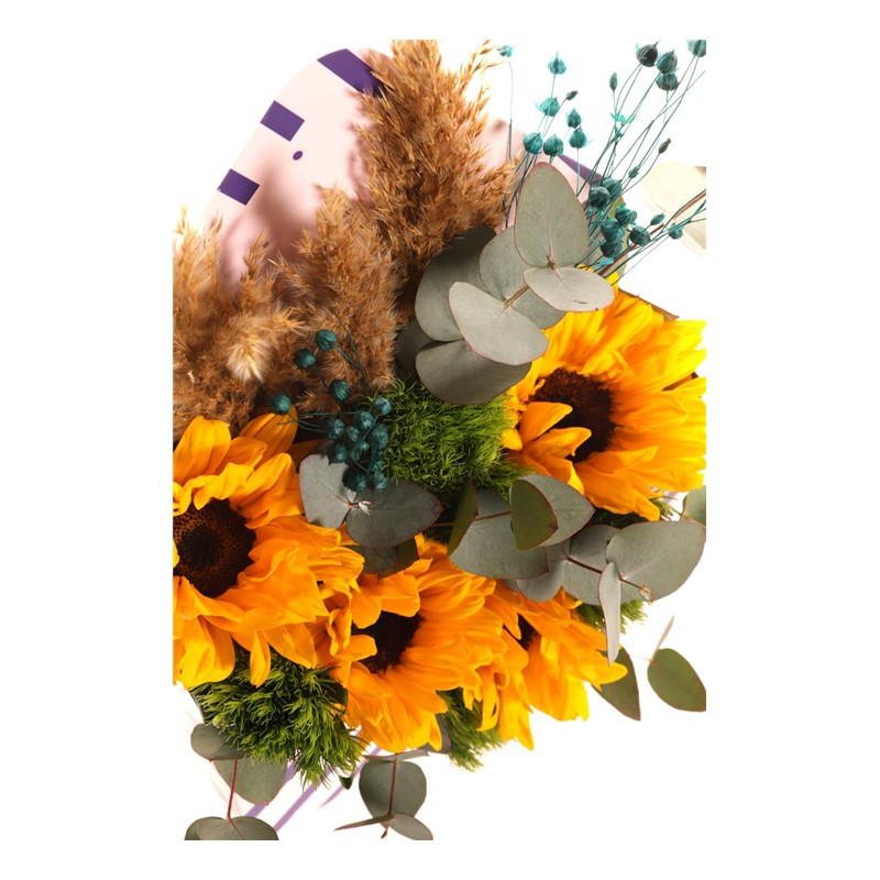 Summer & Sunshine Letter