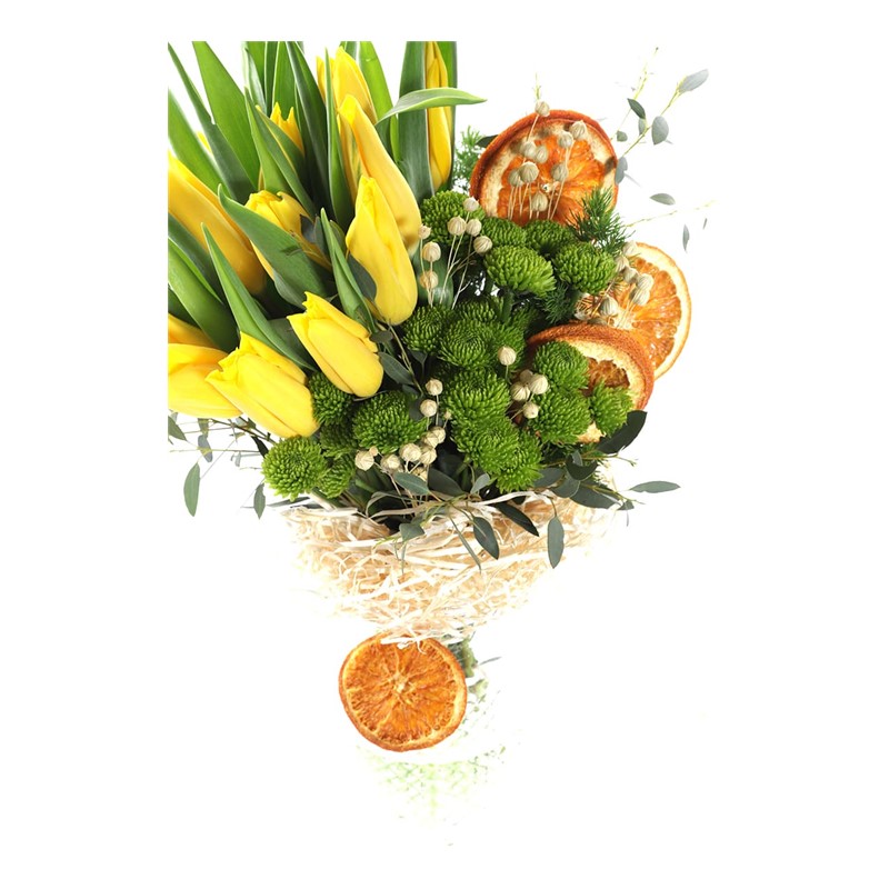 Pro Beyond Yellow Tulip