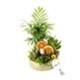 Comfort Life Garden