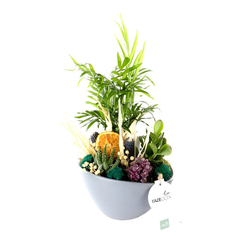 Lucky Day Seasonal Garden