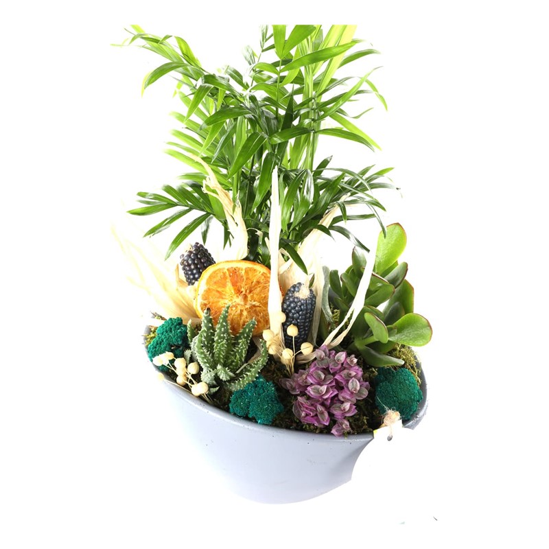 Lucky Day Seasonal Garden