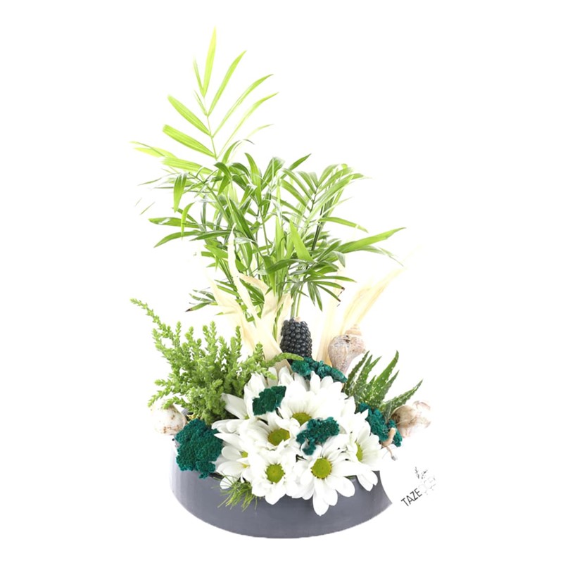 Sending a Garden of Love