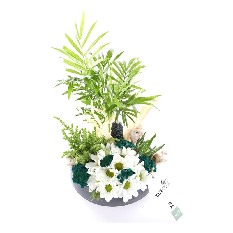 Sending a Garden of Love