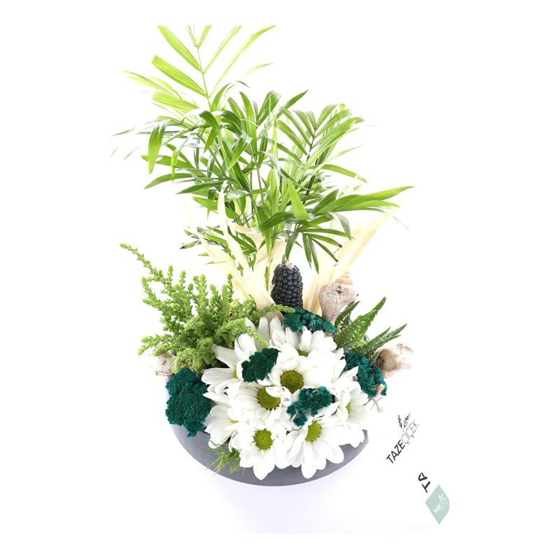 Sending a Garden of Love