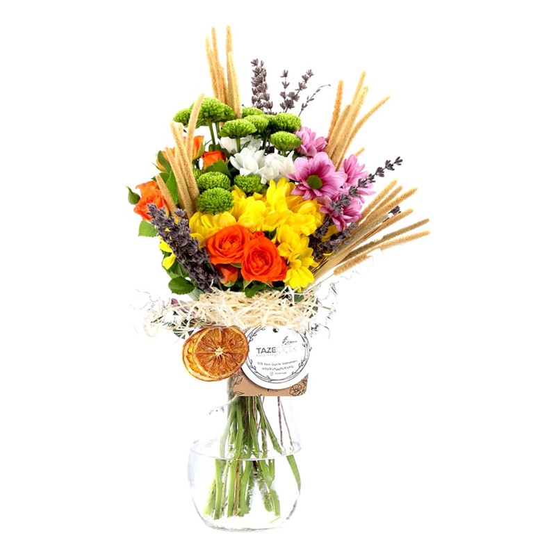 Bloomsy Deluxe Daisy