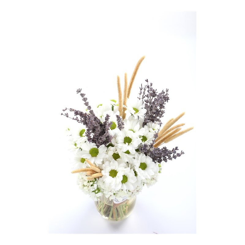 White Gift of the Moon