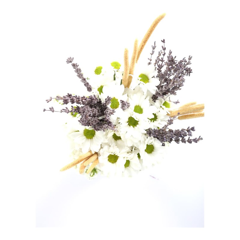 White Gift of the Moon