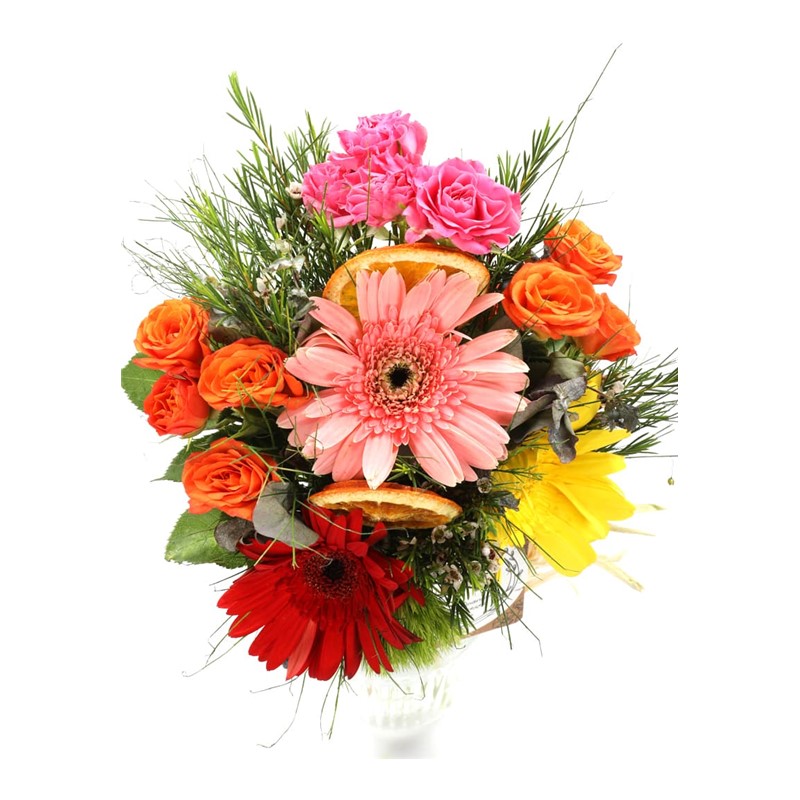 Colorful Vintage Gerbera
