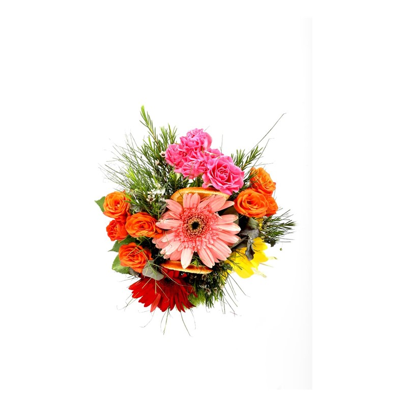 Colorful Vintage Gerbera