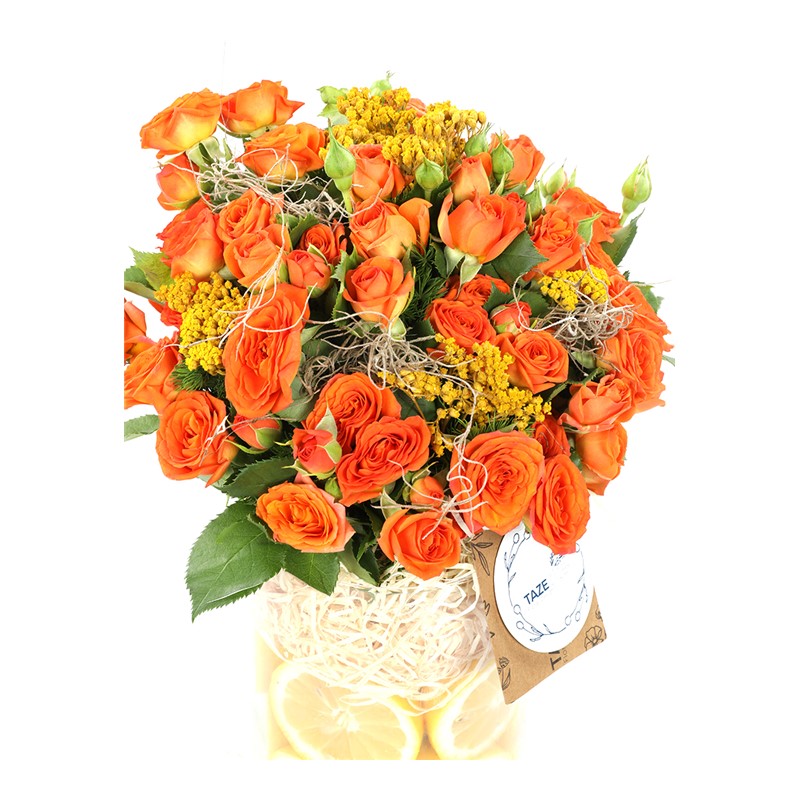 Hello Sunshine Orange Love