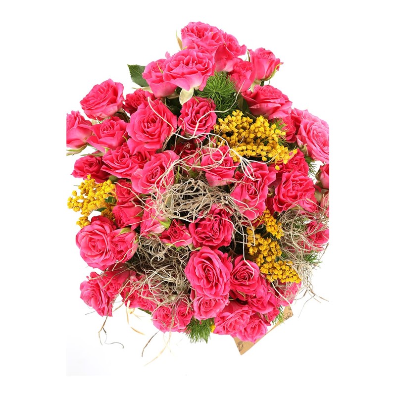 Beautiful Spirit Pink Wishes