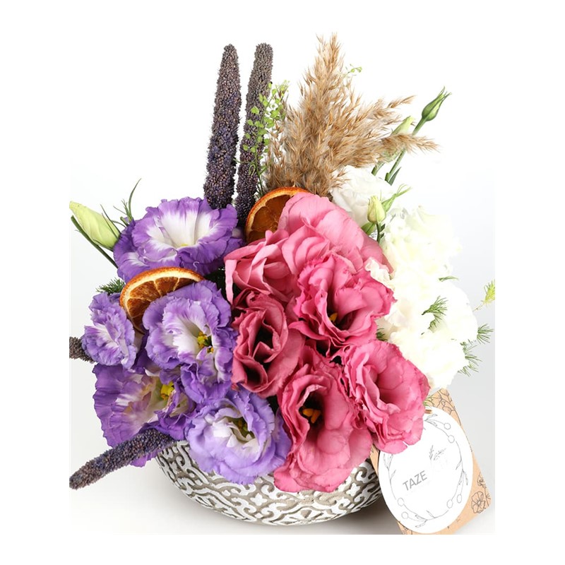 Queen of Lisianthus