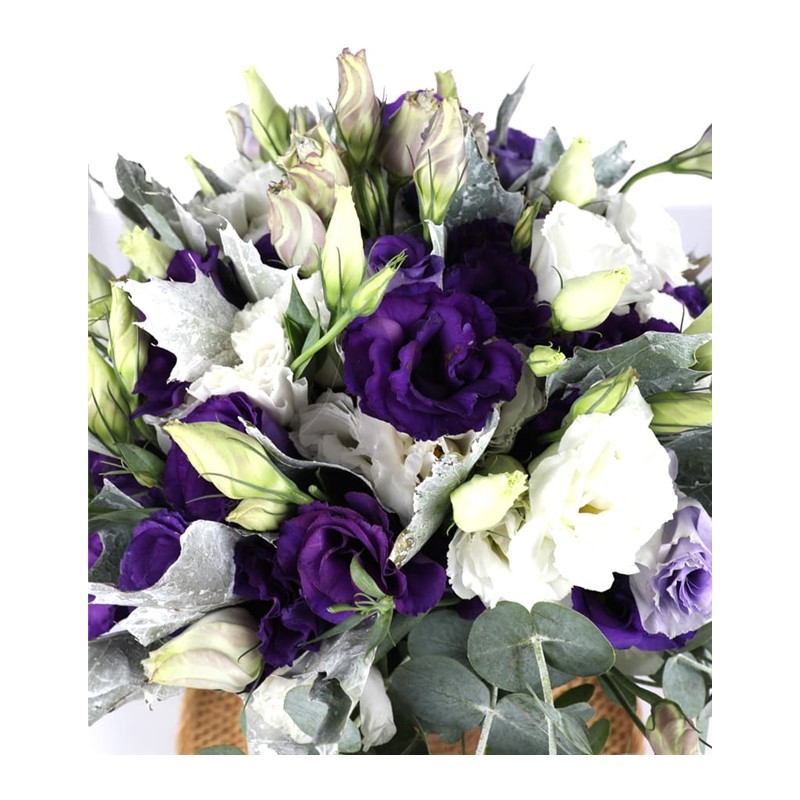 Subtle Freshness Lisianthus