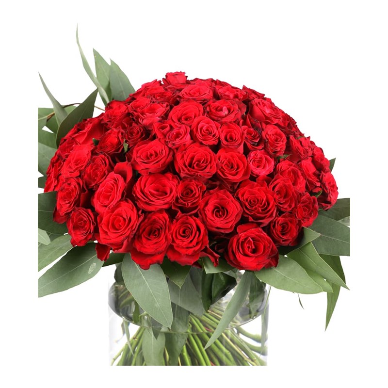 Classic Love & Red Roses