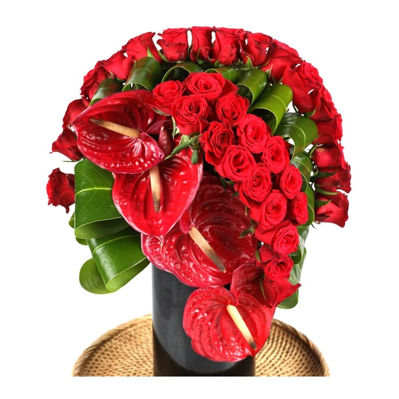 Red Roses & Partner to Love