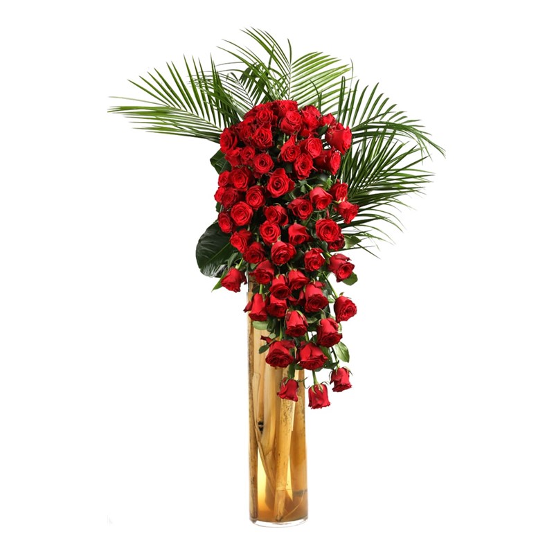 First Kiss & Long Arrangement