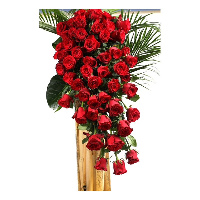 First Kiss & Long Arrangement