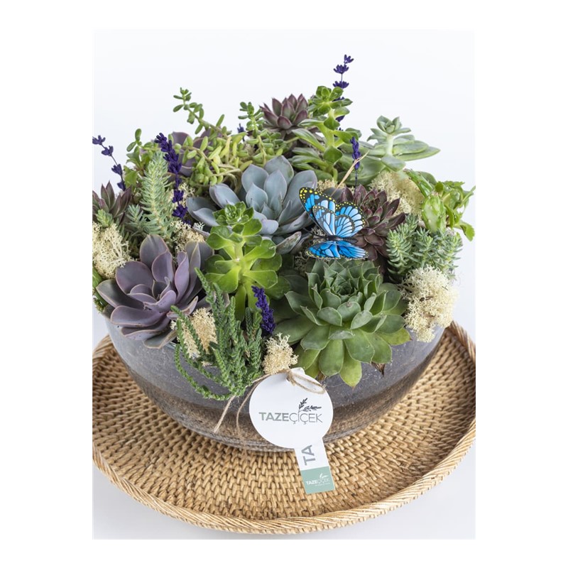 Elegance Garden