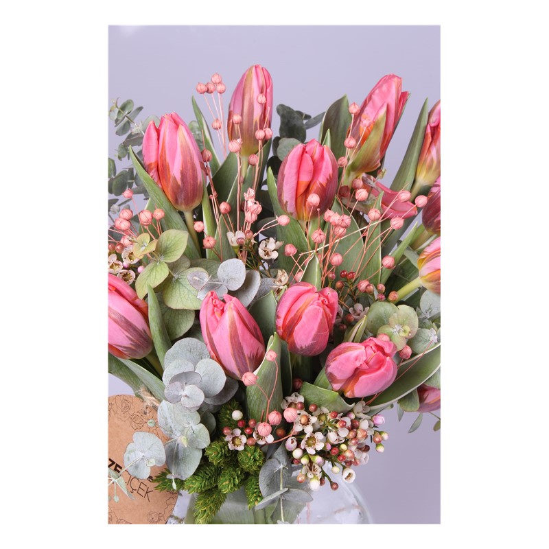 Pink Tulips - Lale
