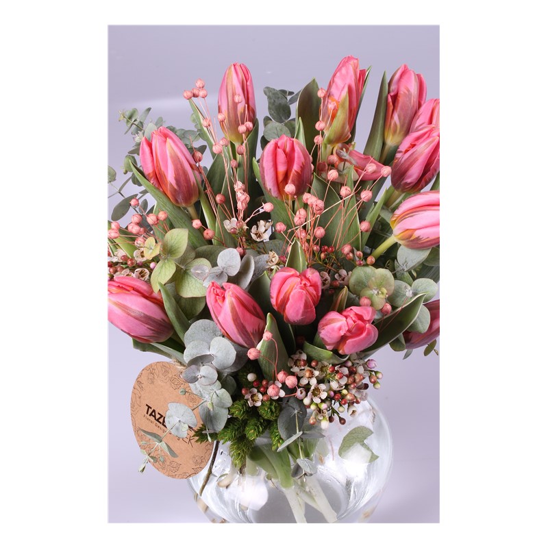 Pink Tulips - Lale