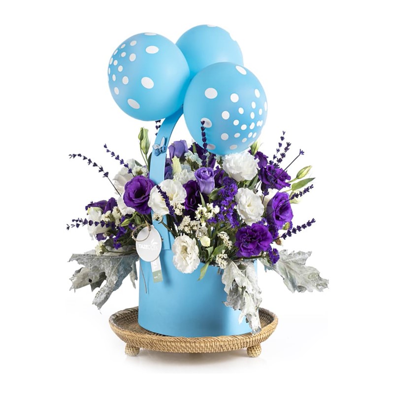 The Magic Wishes Fly