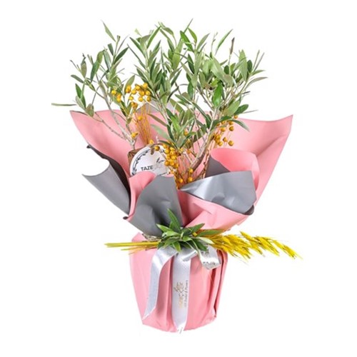 Altın Işık Zeytin Ağacı 40cm