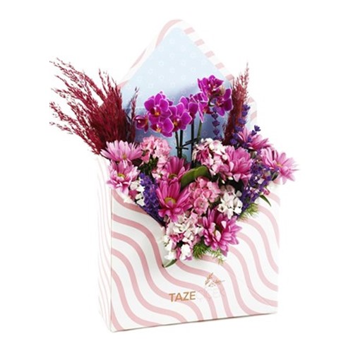 Berry Calanthe Orkide Arajmanı