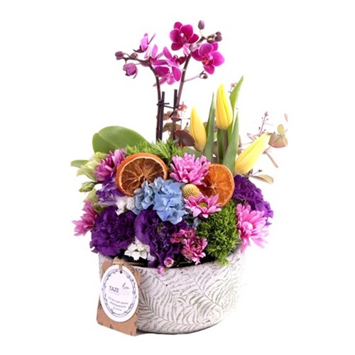 Best Day With My Gift