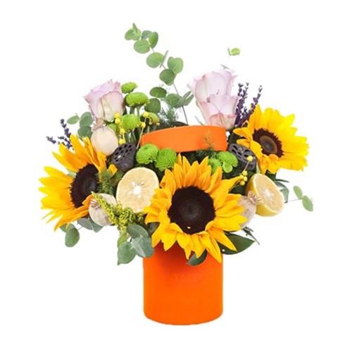 Brigth Harvest Kutuda Aranjman