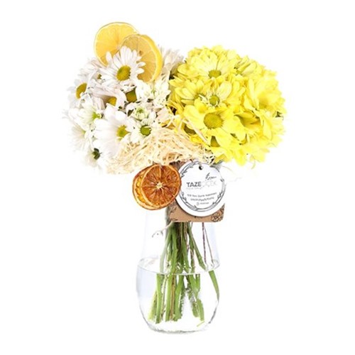 Couple Color Papatyalar