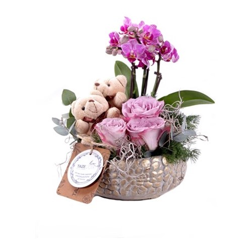 Couple Love Lilly Rose & Orkide