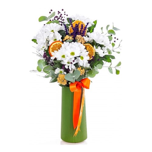 Daisy Sunshine Papatya