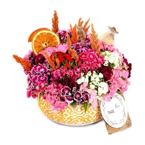 Dashing Floral