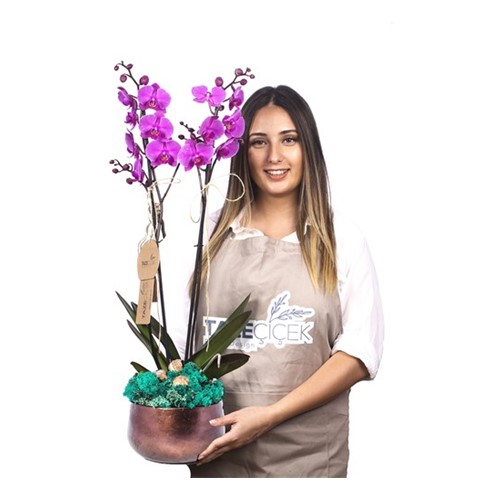 Double Purple Orkide Çiçeği
