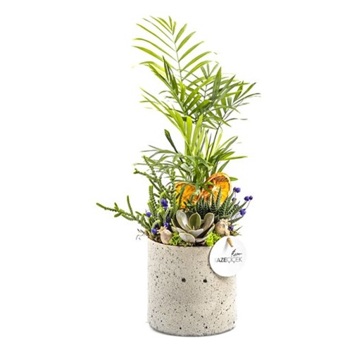 Elegant Green Arrangement