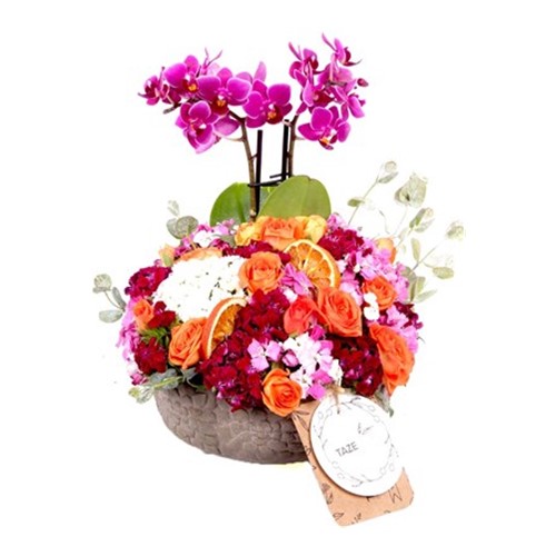 Floral Embrace Orkide