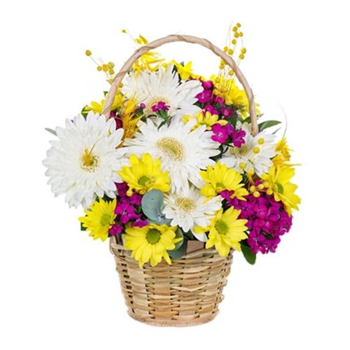 Forever Blooms Sepette Çiçek