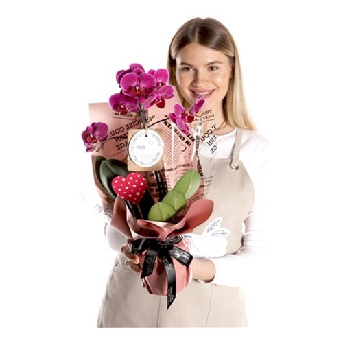 Forever Lovely Orkide