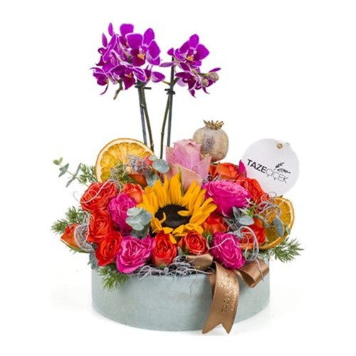 Fresh Gift Orkide Aranjmanı