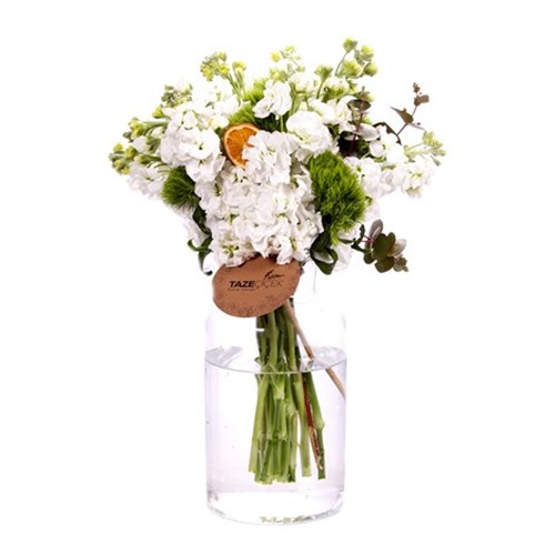 Just White GillyFlower