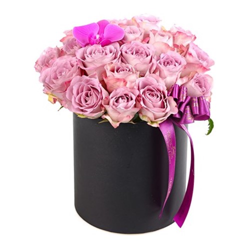 Lavender Luxe Kutuda Lila Güller