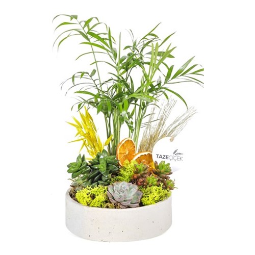 Living Spirit Green Garden