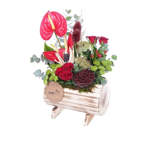 Mua Fıçıda Çiçek Aranjmanı