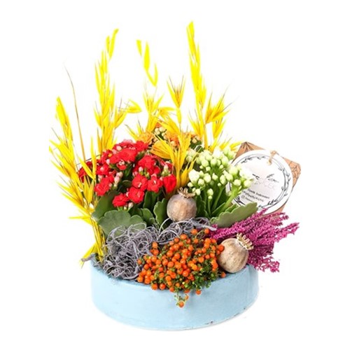 Natures Garden Kalanşo