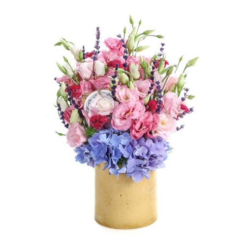 Natures+Palette+Lisyantus