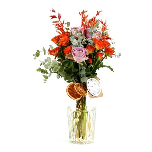 Nola+Vazoda+%c3%87i%c3%a7ek