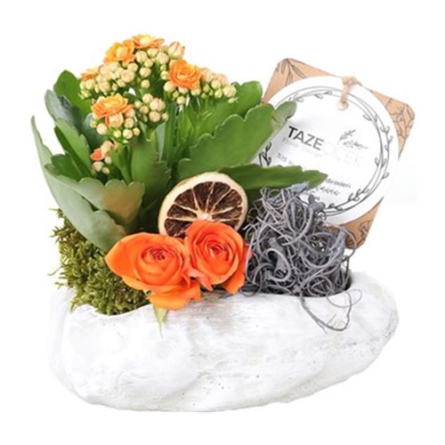 Orange Buds Of Love Kalanşo