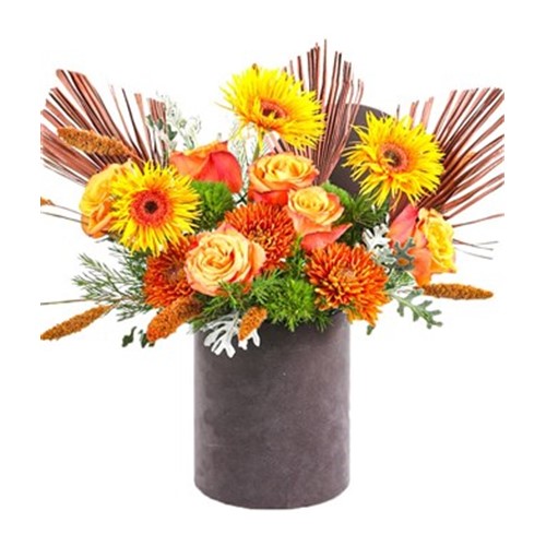 Orange Flowers In Gray Box